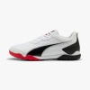 PUMA PRESSING IV TT